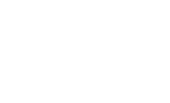 viAct.png